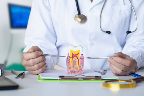Best Dentist for Severe Toothache  in Mcalmont, AR